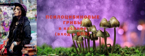 mdma Медногорск